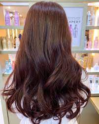 Mahogany chocolate keep your natural color dark and add some red mahogany highlights throughout your hair. 15 Mahogany Hair Color Shades You Have To See