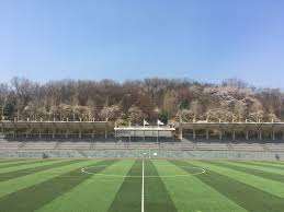 안동 산불 완진.축구장 천백여 개 면적 잿더미 / ytn. ì¶•êµ¬ìž¥ ì²´ìœ¡ì‹œì„¤ ì„œìš¸íŠ¹ë³„ì‹œ ê³µê³µì„œë¹„ìŠ¤ì˜ˆì•½