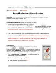 Electronic commerce 11th edition, financial accounting 2 past papers, hsc agriculture. Chickengeneticsse Daviddesouza Name David De Souza Date Student Exploration Chicken Genetics Vocabulary Allele Codominant Dominant Genotype Course Hero