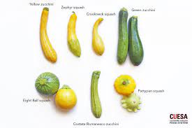 Trim the ends off, then cut the zucchini into cubes, do not peel it. Zucchini And Beyond A Farmers Market Guide To Summer Squash Kqed