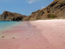 Un endroit parfait pour des vacances en crète ! Les Plages De Sable Rose La Beaute A L Etat Pur Travelercar