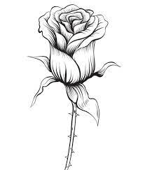 Set of floral calligraphic elements. Pin By Louisa Eicher On Coloring Pages Rose Coloring Pages Pencil Drawings Of Flowers Flower Drawing
