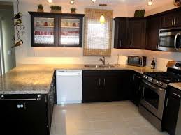Simply dip the tip of a paintbrush in a color lighter than the. Painted Cabinets Phase 2 Complete Diy Kitchen Decor Home Kitchens Kitchen Remodel