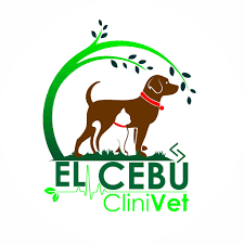 CliniVet el cebú