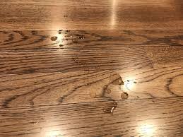 From furniture to floors, trust minwax® products that beautify and protect wood. How To Deep Clean Hardwood Floors 5 Simple Steps Prudent Reviews