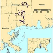 Because it's set in a desert valley, annual snowfall is low in tucson proper, although. Pdf I3n Risk Assessment And Pathway Analysis Tools For The Prevention Of Biological Invasions In Plant Invasions Policies Politics And Practices
