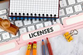 Do I need a Business License to Sell Online?