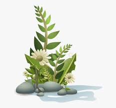 Maybe you would like to learn more about one of these? Plants Flower Flowers Cartoon Free Plant Tropical Plants Clipart Hd Png Download Transparent Png Image Pngitem