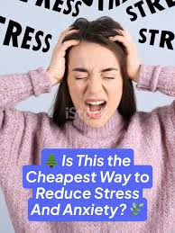 The Nature Fix Book Florence