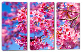 The cherry blossom is richly symbolic in japan and china. Japanese Cherry Blossom Canvas Split Prints On Wooden Bars Kunstdrucke Com Antiquitaten Kunst