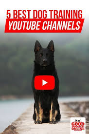 5 Best Dog Training Youtube Channels Good Doggies Online In 2020 Dog Training Videos Dog Training Training Your Dog