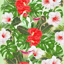 We did not find results for: Seamless Texture Floral Arrangement Tropical Flowers Lilies Cala And Anthurium White Hibiscus Palm Philodendron And Ficus Vintage Vector Illustration Editable Hand Draw Royalty Free Cliparts Vectors And Stock Illustration Image 133189224