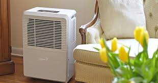 Wanna find the top dehumidifier for basement with pump? 9 Best Dehumidifiers 2021 The Strategist