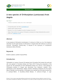 Image result for Orthosiphon schimperi