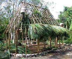 On the sunday before easter, many christians celebrate palm sunday. Thatch Palm