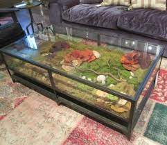 3.7 out of 5 stars with 104 ratings. Shadow Box Coffee Table Terrarium Table Shadow Box Coffee Table Living Room Table