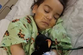 Fundraiser by Andrea Peak : Keeping Kylie