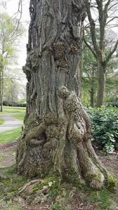 10 Amazing nature ideas