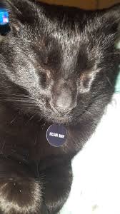 Profile for Nelson Roop