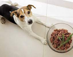 We are veterinarian used and recommended. Answers Pet Food Fighting For The Public S Freedom To Choose Raw Pet Food The Dogington Post
