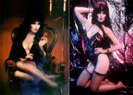 Elvira: An Illustrated History of The Mistress of the Dark - Flashbak