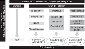 Green or low indicates a low risk. Breast Cancer Management Pathways During The Covid 19 Pandemic Outcomes From The Uk Alert Level 4 Phase Of The B Map C Study British Journal Of Cancer
