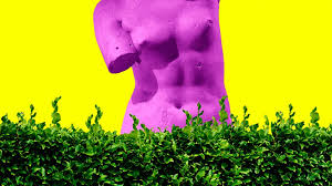 A dreaded necessity that no guy looks forward to. Pubic Hair Faqs How To Shave Pubic Hair