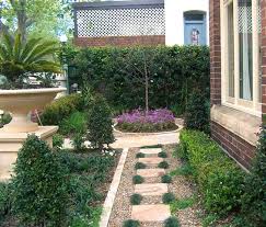 Compact Medium Urban Space Tig Design Landscaping