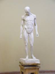 Image result for brancusi