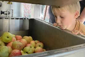 Landfrauen pressen mit Profis Saft aus sechs Tonnen Äpfeln und Birnen