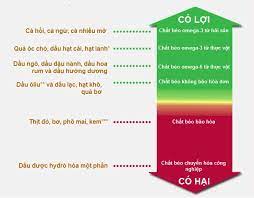 Điều hòa sinh tổng hợp acid béo 12 14. Cháº¥t Beo Khong Bao Hoa Cháº¥t Beo Bao Hoa Va Cháº¥t Beo Chuyá»ƒn Hoa La Gi Chung Khac Nhau NhÆ° Tháº¿ Nao Háº¡ Máº¿n