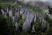 Ini boleh dipertingkatkan dengan mengadakan promosi berasaskan warisan budaya dan warisan semula jadi yang telah diiktiraf oleh unesco di. Gunung Mulu National Park Wikipedia