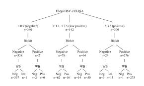 I am not smart enough for that. Use Of Biokit Hsv 2 Rapid Assay To Improve The Positive Predictive Value Of Focus Herpeselect Hsv 2 Elisa Bmc Infectious Diseases Full Text