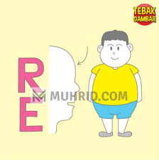 Tebak Gambar Level 8 Re Gendut Tebak Gambar