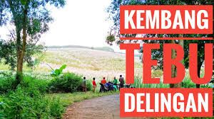 We did not find results for: Jalan Kembang Tebu Viral Delingan Karanganyar Youtube