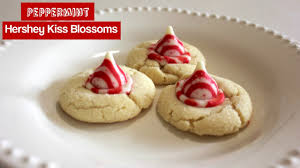 Hershey kiss cookie recipe kisses recipe hershey kisses cherry blossom cookies recipe christmas treats christmas baking chocolate cherry pretzel hershey kisses are 3 ingredients little treat that are great for christmas parties. Peppermint Hershey Kiss Cookies Easy Christmas Cookies Recipe Blossoms Youtube