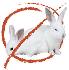 Cosmetics and personal care products companies are committed to eliminating animal testing whenever possible, while also ensuring the safety of the products consumers use and trust every day. Cosmetics Animal Testing Good Or Bad My Beauty Diary