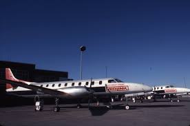 Image result for Safety Yellow 1995 Fleet