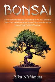 Take a knife or a fingernail and gently scrape a small bark off the trunk. Bonsai The Ultimate Beginner S Guide On How To Cultivate Take Care And Grow Your Bonsai Tree Ideal For Any Bonsai Type 2020 Version Amazon De Nishimura Riku Fremdsprachige Bucher