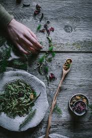 Storybook Woods Herbal Tea Photography Tea Diy Herbal Magic