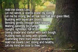 Francis of assisi prayer card for pets. Prayer For Mental Illness