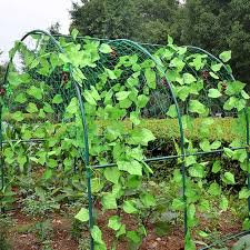Okay, it wasn't fond at the time, but you know what i mean. Bean Plant Climbing Grow Fence Anti Bird Net Garden Green Nylon Vegetable Plant Trellis Netting Support Nets Mesh Plant Fence Fencing Trellis Gates Aliexpress