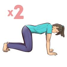 Bu Egzersizler Yalnizca Bir Dakikanizi Alacak Mutlaka Deneyin Farki Goreceksiniz Egzersiz Karin Kaslari Fitness Egzersizleri