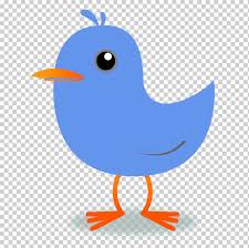 Bird Northern Cardinal Cornflower S Blue Chicken Galliformes Png Klipartz Bird cartoon cardinal bird cartoon bird cartoon bird house humming bird cartoon lady bird more than 12 million free png images available for download. klipartz