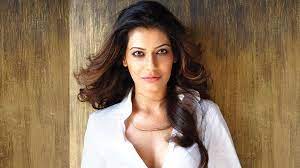 She was a contestant in the reality show bigg boss in 2008. Tdvy4burpgfxm