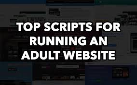 Top Scripts for Running an Adult Tube Website in 2024