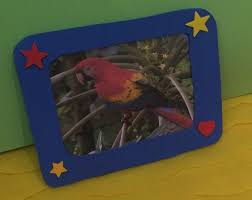 صورة رفيف التي فازت بمسابقة أجمل صورة decor home decor frame