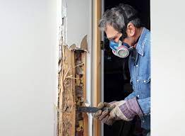 The veteran can pay the fee of a va appraiser and va compliance inspectors. Pest Inspection When Selling A Home