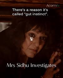 Satisfy your cravings. Watch Recipes for Love and Murder, Mrs Sidhu  Investigates and Delicious