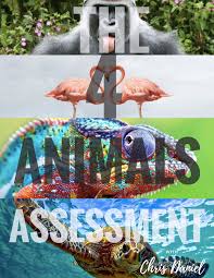 Disc Animal Assessment Google Search Animals Assessment Disc